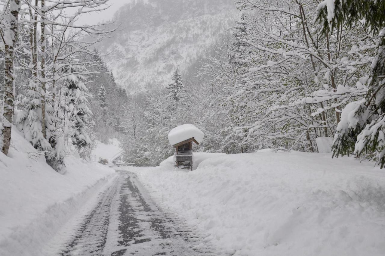 Romantische Ferienhütte Ennstaler Nat Kalkalpen bis 6 Personen Kleinreifling Exterior foto