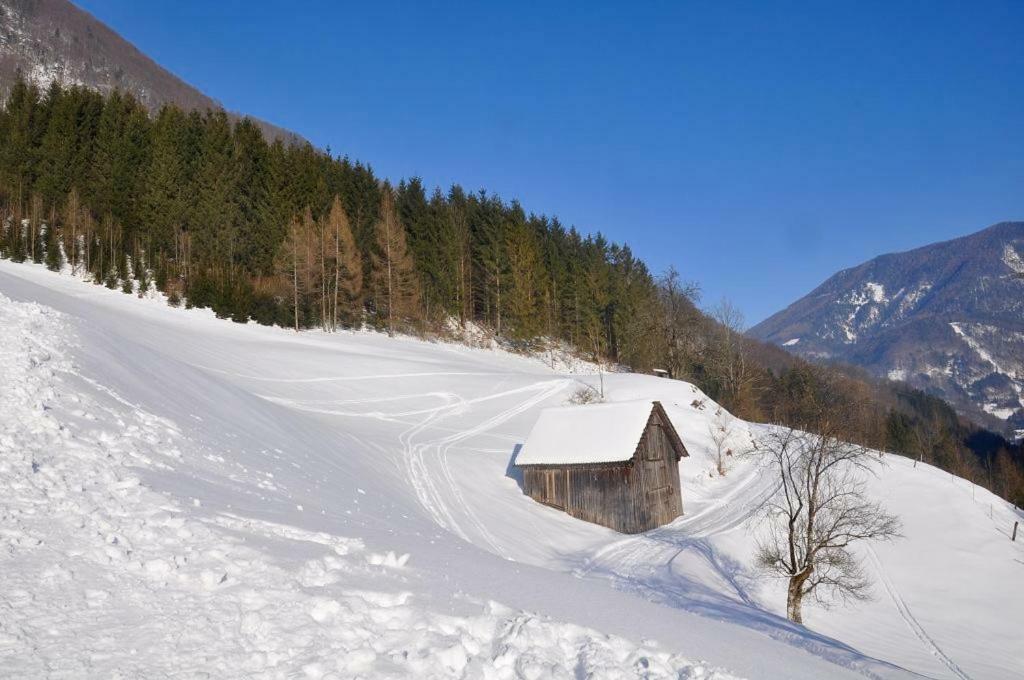 Romantische Ferienhütte Ennstaler Nat Kalkalpen bis 6 Personen Kleinreifling Exterior foto